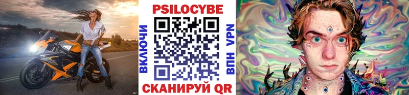 купить наркоту  Муром  MEGA tor  Псилоцибиновые грибы Cubensis 